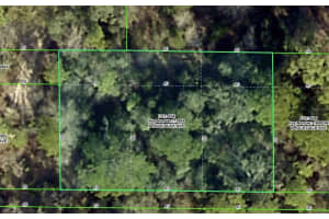 ROCK DUCK AVE, BROOKSVILLE, FL 34614 - MLS#MFRW7879473