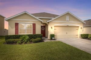 30486 SUMMER SUN LOOP, WESLEY CHAPEL, FL 33545 - MLS#MFRW7879487