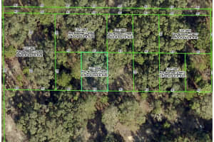 ROCK DUCK AVE, BROOKSVILLE, FL 34614 - MLS#MFRW7879499