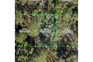 ROCK DUCK AVE, BROOKSVILLE, FL 34614 - MLS#MFRW7879499