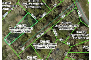 SHAMROCK RD, DADE CITY, FL 33523 - MLS#MFRW7879509