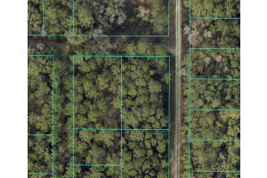 SW 9TH PL, OCALA, FL 34481 - MLS#MFRW7879516