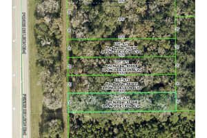 PONCE DE LEON BLVD, BROOKSVILLE, FL 34601 - MLS#MFRW7879524