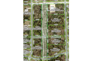 PACIFIC NIGHTHAWK AVE, BROOKSVILLE, FL 34614 - MLS#MFRW7879537