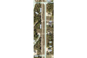 ALBANY RD, BROOKSVILLE, FL 34614 - MLS#MFRW7879540