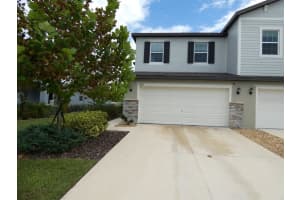 6274 SHINER STREET, LAND O LAKES, FL 34638 - MLS#MFRW7879582