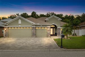 11139 RAGSDALE COURT, NEW PORT RICHEY, FL 34654 - MLS#MFRW7879603