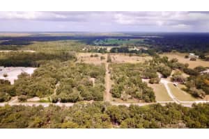 14385 SW HIGHWAY 484, DUNNELLON, FL 34432 - MLS#MFRW7879625
