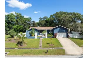 995 ROLLING HILLS DRIVE, PALM HARBOR, FL 34683 - MLS#MFRW7879635