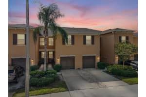 9588 TRUMPET VINE LOOP, TRINITY, FL 34655 - MLS#MFRW7879643