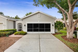 7253 CLEOPATRA DRIVE, LAND O LAKES, FL 34637 - MLS#MFRW7879646