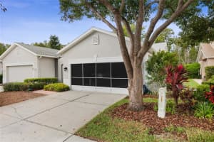 7253 CLEOPATRA DRIVE, LAND O LAKES, FL 34637 - MLS#MFRW7879646