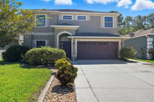 12852 SAULSTON PLACE, HUDSON, FL 34669 - MLS#MFRW7879692