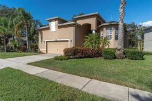 1001 SPOONTAIL COURT, TARPON SPRINGS, FL 34689 - MLS#MFRW7879699
