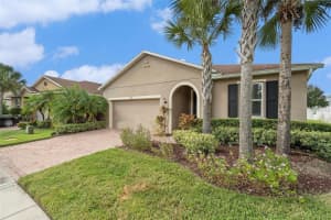 12343 MOSS LAKE LOOP, NEW PORT RICHEY, FL 34655 - MLS#MFRW7879717