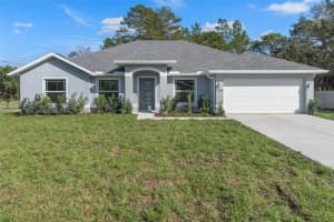 11172 PIGEON AVENUE, WEEKI WACHEE, FL 34614 - MLS#MFRW7879786