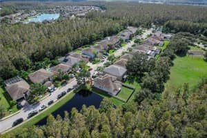 12847 SOLOLA WAY, TRINITY, FL 34655 - MLS#MFRW7879788