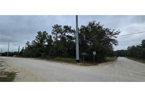 13476 CANADA GOOSE ROAD, BROOKSVILLE, FL 34614 - MLS#MFRW7879808