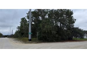 13476 CANADA GOOSE ROAD, BROOKSVILLE, FL 34614 - MLS#MFRW7879808