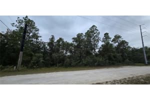 13476 CANADA GOOSE ROAD, BROOKSVILLE, FL 34614 - MLS#MFRW7879808