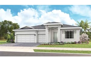 393 DOUGLAS HILL DRIVE, LADY LAKE, FL 32159 - MLS#MFRW7879826