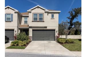 6741 CITRUS CREEK LANE, TAMPA, FL 33625 - MLS#MFRW7879830