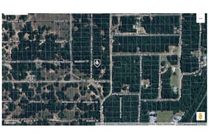 814 HILLCREST AVENUE, INVERNESS, FL 34453 - MLS#MFRW7879835