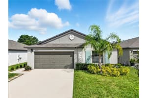 5402 AMARYLLIS GARDEN STREET, APOLLO BEACH, FL 33572 - MLS#MFRW7879868