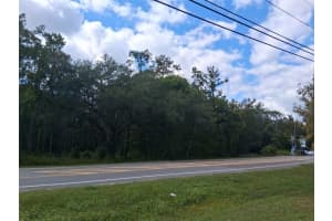 PONCE DE LEON BLVD, BROOKSVILLE, FL 34601 - MLS#MFRW7879902