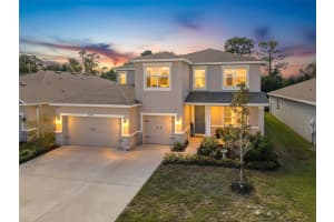 3797 AUTUMN AMBER DRIVE, SPRING HILL, FL 34609 - MLS#MFRW7879910