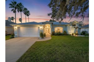 3365 INDIAN RIVER STREET, SPRING HILL, FL 34609 - MLS#MFRW7879927