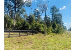 843 CENTRAL TERRACE, FORT WHITE, FL 32038 - MLS#MFRW7879930