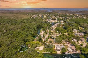 5507 Darlene St, WEEKI WACHEE 5507 Darlene St, WEEKI WACHEE