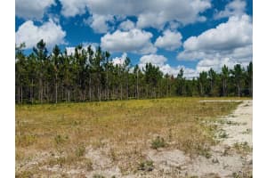 7670 207TH ROAD, LIVE OAK, FL 32060 Sold 12/15/25