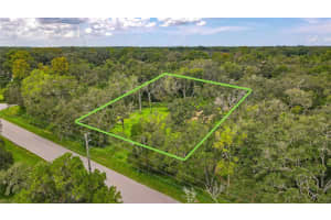 17247 LAWLESS ROAD, SPRING HILL, FL 34610 Sold 12/31/25