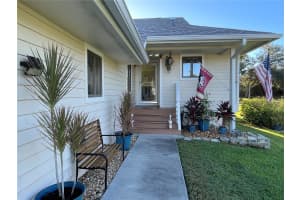 1007 LAKE AVOCA DRIVE, TARPON SPRINGS, FL 34689 - MLS#MFRW7880008