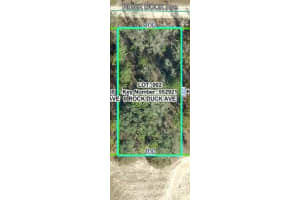13012 ROCK DUCK AVENUE, WEEKI WACHEE, FL 34614 - MLS#MFRW7880052