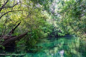 6448-1 RICHARD DRIVE, WEEKI WACHEE, FL 34607 - MLS#MFRW7880055