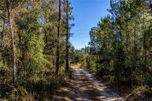 12060 EHRENWALD DRIVE, WEEKI WACHEE, FL 34613 - MLS#MFRW7880067