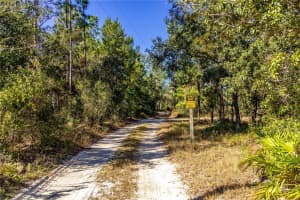 12060 EHRENWALD DRIVE, WEEKI WACHEE, FL 34613 - MLS#MFRW7880067
