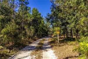 12060 EHRENWALD DRIVE, WEEKI WACHEE, FL 34613 - MLS#MFRW7880067