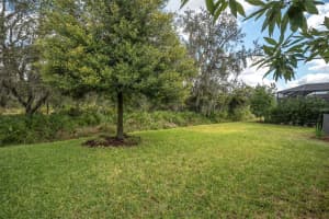 13709 STANSIL AVENUE, ODESSA, FL 33556 - MLS#MFRW7880079