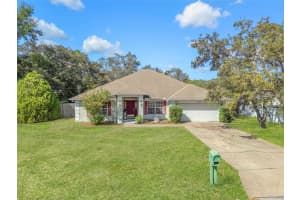 3027 BAYSHORE DRIVE, SPRING HILL, FL 34608 - MLS#MFRW7880085