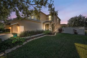 3619 Hatchbend Way, WESLEY CHAPEL 3619 Hatchbend Way, WESLEY CHAPEL