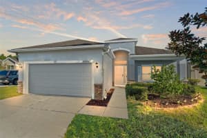 30745 Satinleaf Run, BROOKSVILLE