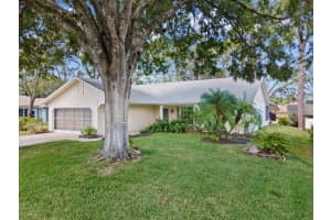 6393 Lost Tree Ln, SPRING HILL 6393 Lost Tree Ln, SPRING HILL