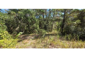 US HIGHWAY 19 N, HUDSON, FL 34667 - MLS#MFRW7880131