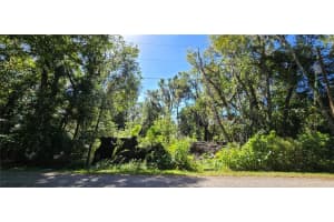 FORESIDE AVE, BROOKSVILLE, FL 34601 - MLS#MFRW7880203