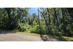 FORESIDE AVE, BROOKSVILLE, FL 34601 - MLS#MFRW7880203