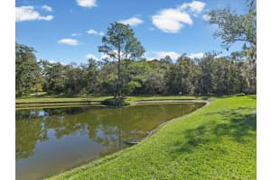 11636 ASPENWOOD DRIVE, NEW PORT RICHEY, FL 34654 - MLS#MFRW7880208